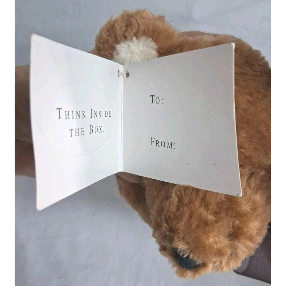 Ben Bridge Jewelers Hide Jewelry Teddy Bear Money Safe Hide In Plain Sight